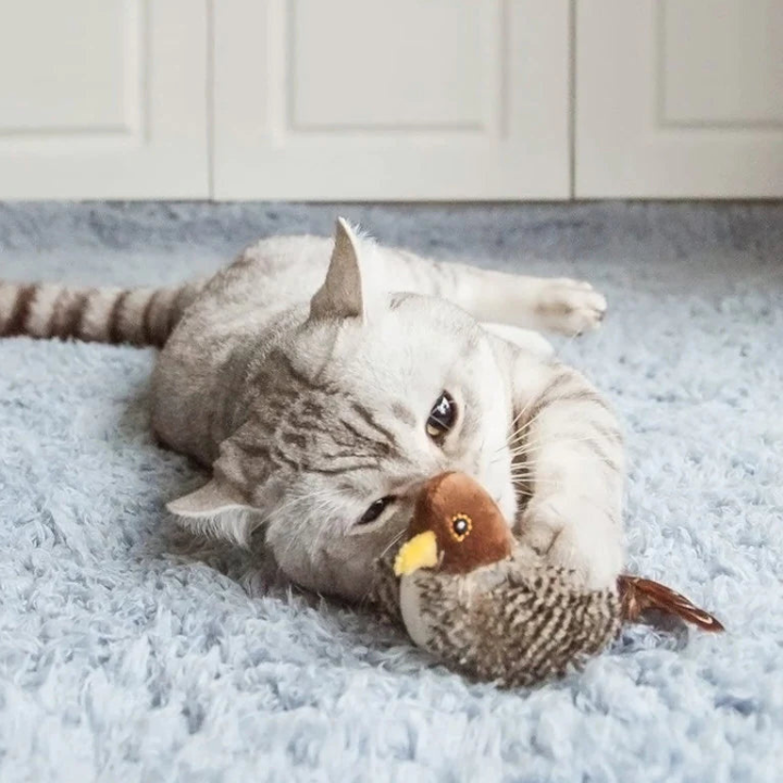 FlutterPlay │ Interactive Bird Cat Toy