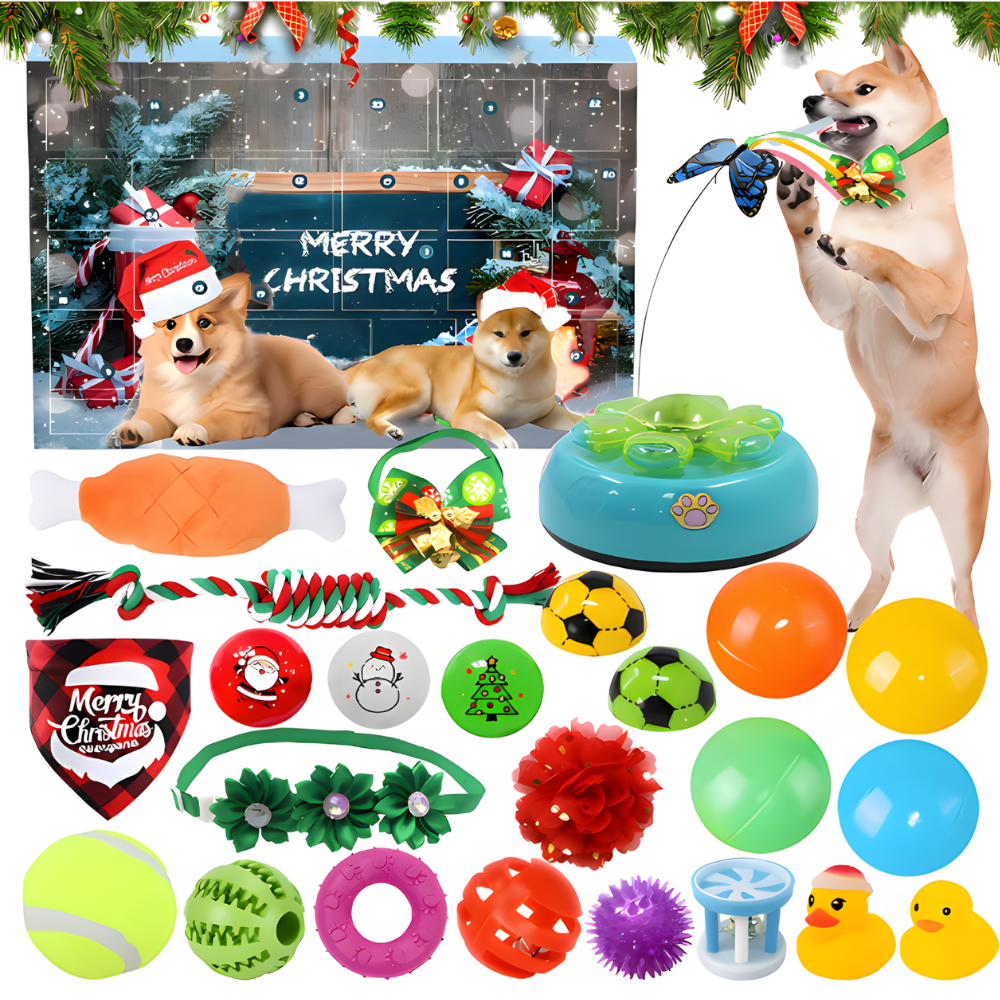 FurFest │ 24 Day Advent Calendar with Festive Toys for Dogs