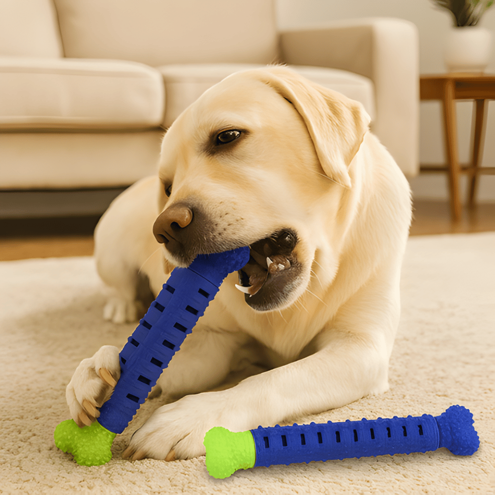 JawRidge │ Textured Dog Dental Chew Toy