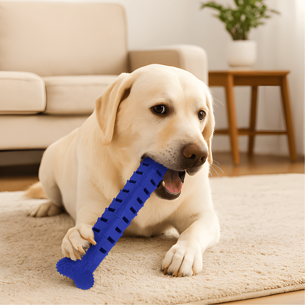 JawRidge │ Textured Dog Dental Chew Toy
