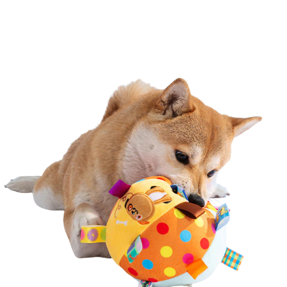 JoyBounce | Interactive Dog Ball