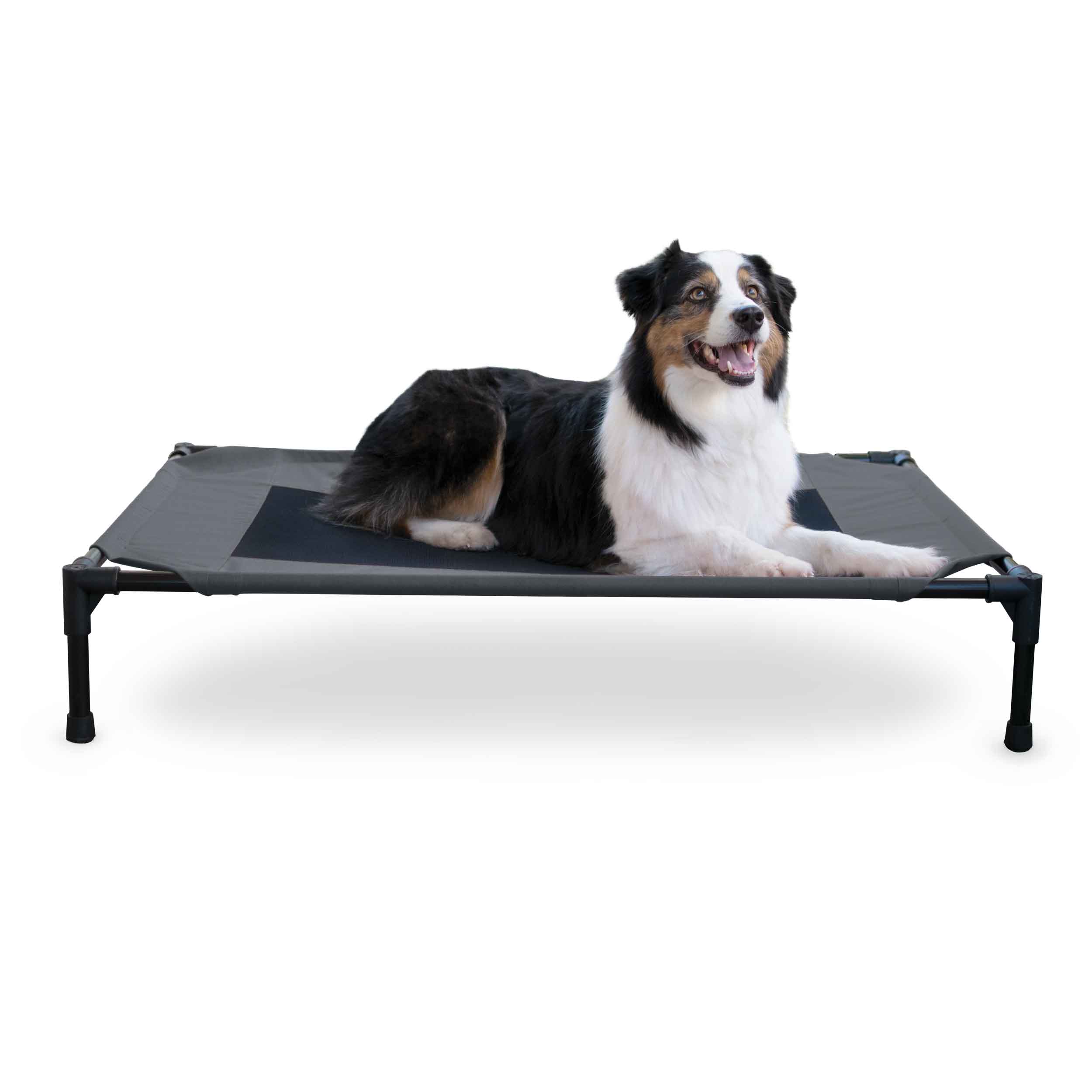 K&H Pet Products Original Elevated Dog Bed | Large Mesh Pet Cot, Charcoal