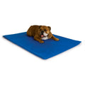 K&H Pet Products Cool Bed III - Water-Activated Cooling Dog Bed - Blue