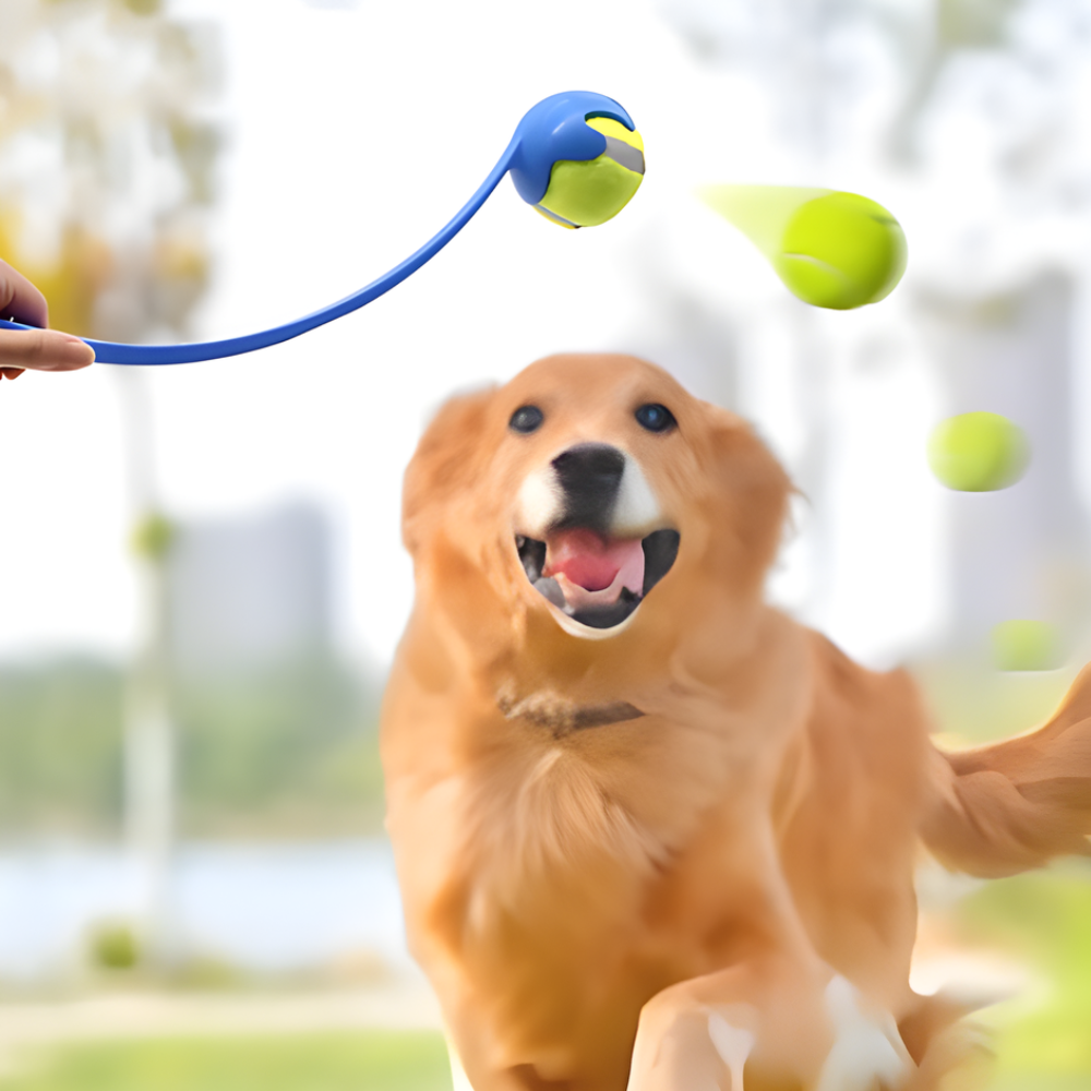 LaunchPro │ Easy Long Distance Dog Ball Thrower
