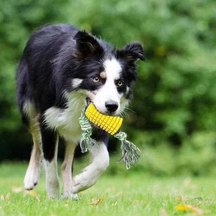 SqueakyCorn | Dog Chew Toy