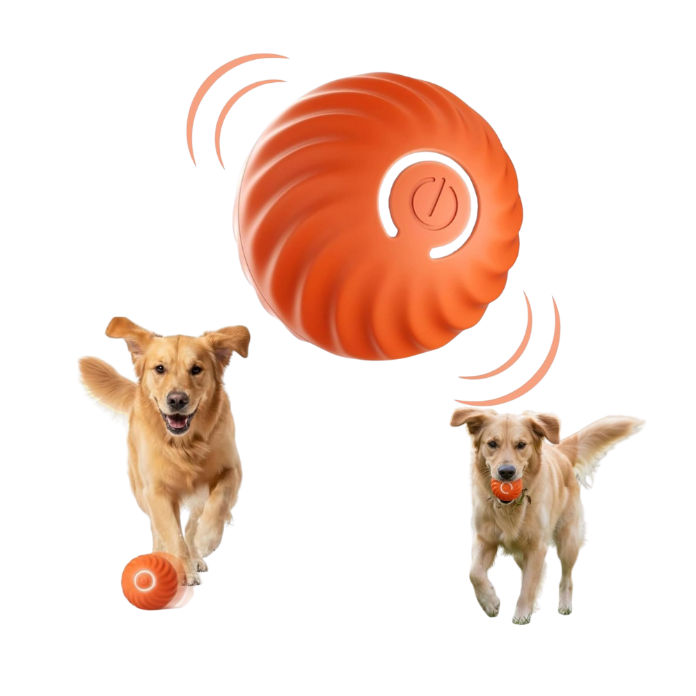 MotionPaws | Smart Interactive Rolling Dog Ball