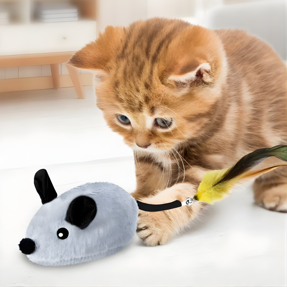 MoveMouse │ Realistic Motion Interactive Cat Toy
