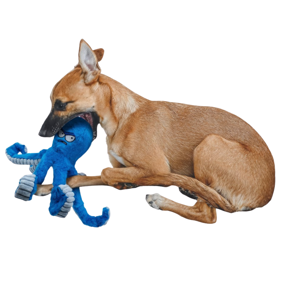 TuffaPus | Durable Dog Chew Toy Plush