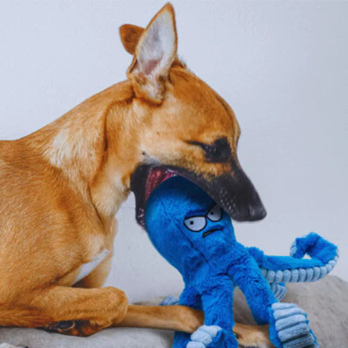 TuffaPus | Durable Dog Chew Toy Plush