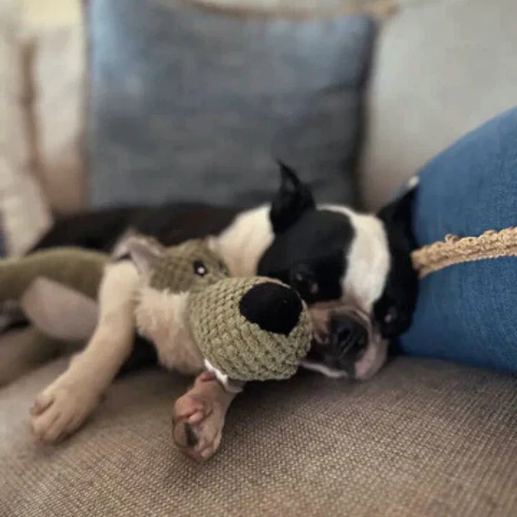 IndestructiPup | durable dog squeaker toy