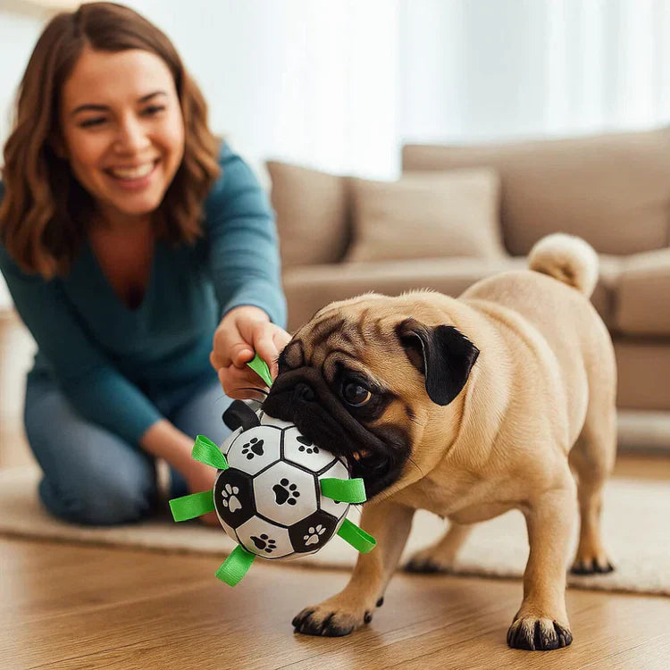 PawGrip | Dog Toy Ball with Pull Handles