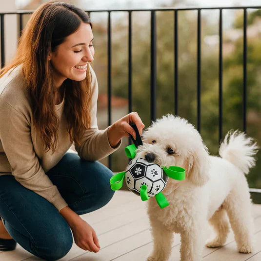 PawGrip | Dog Toy Ball with Pull Handles
