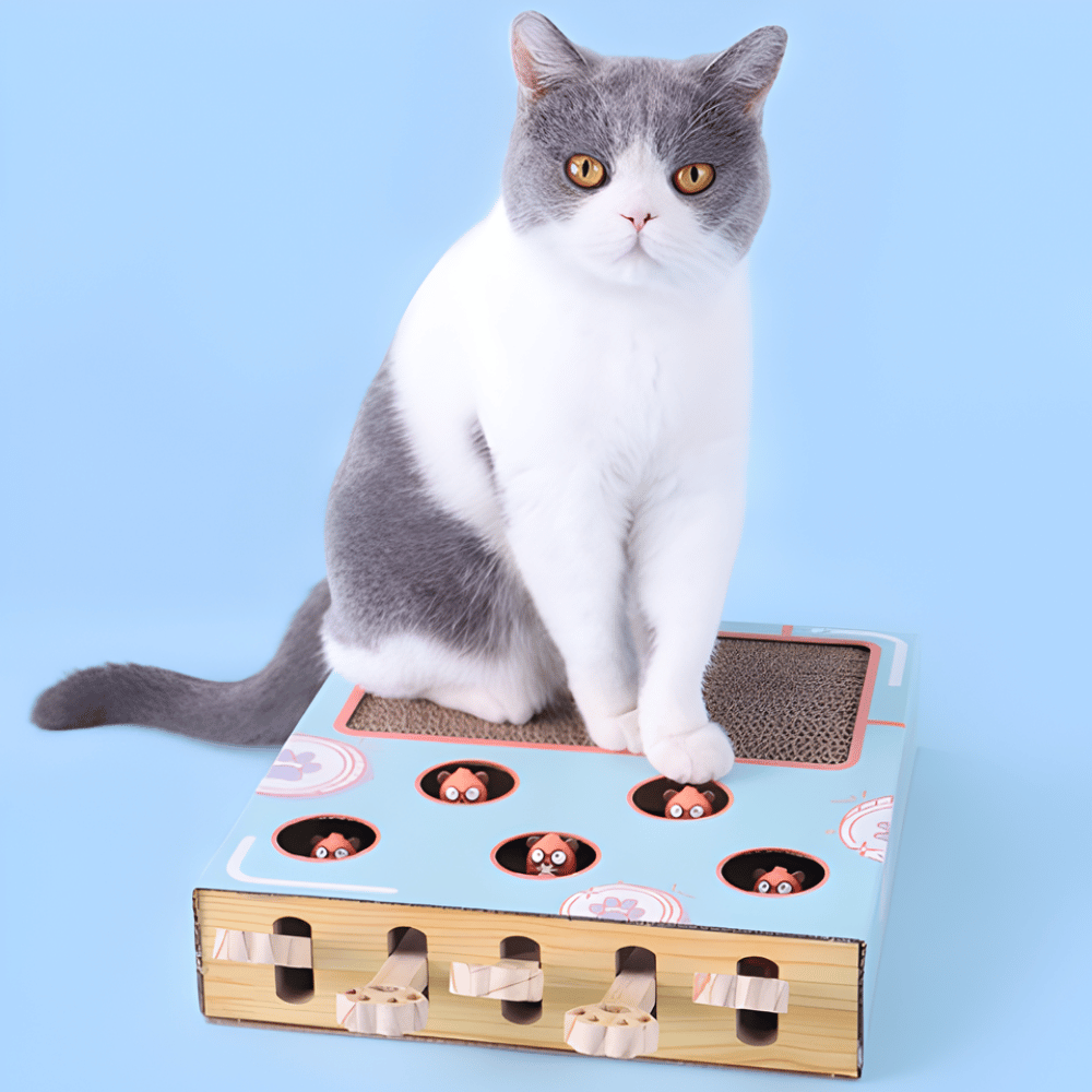 PawPuzzle │ Interactive 3 in 1 Cat Activity Playground