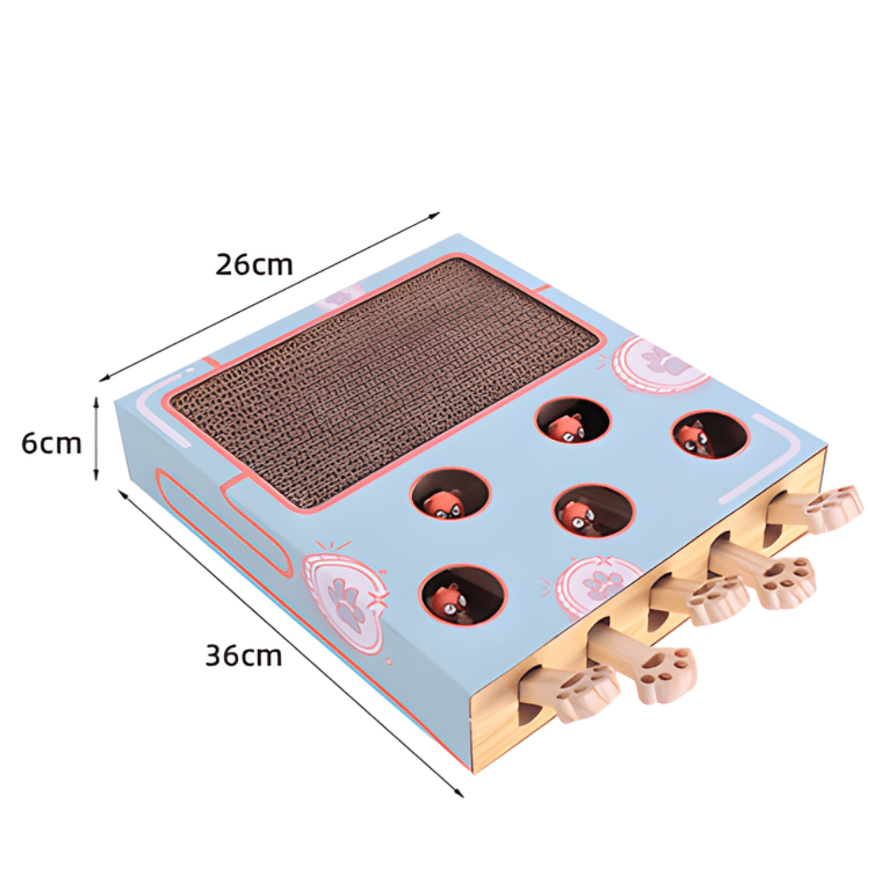 PawPuzzle │ Interactive 3 in 1 Cat Activity Playground