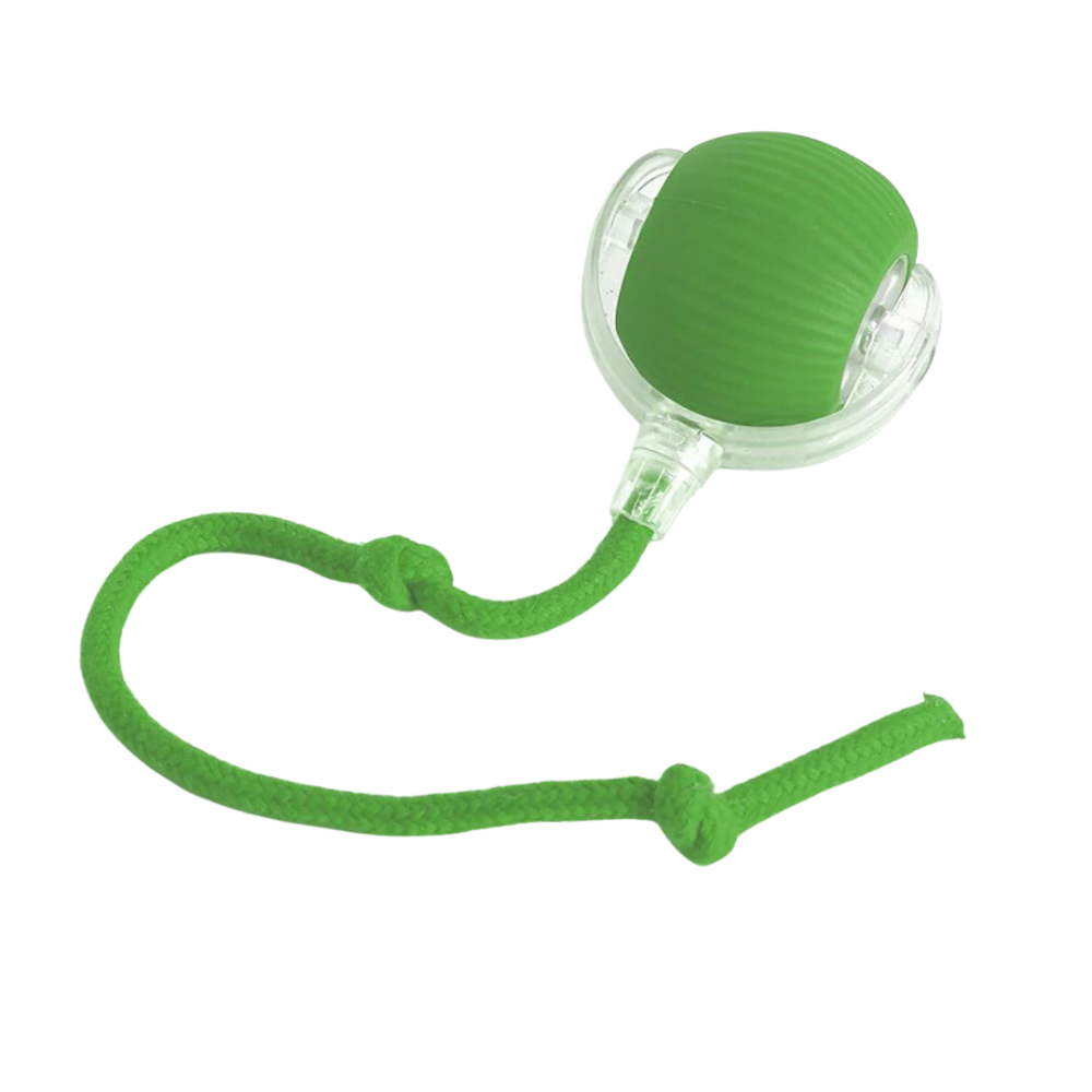 PawTail | Interactive Dog Play Ball
