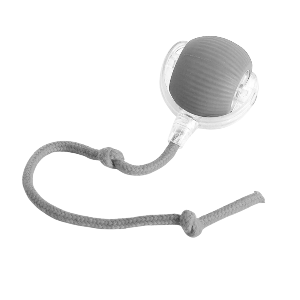 PawTail | Interactive Dog Play Ball