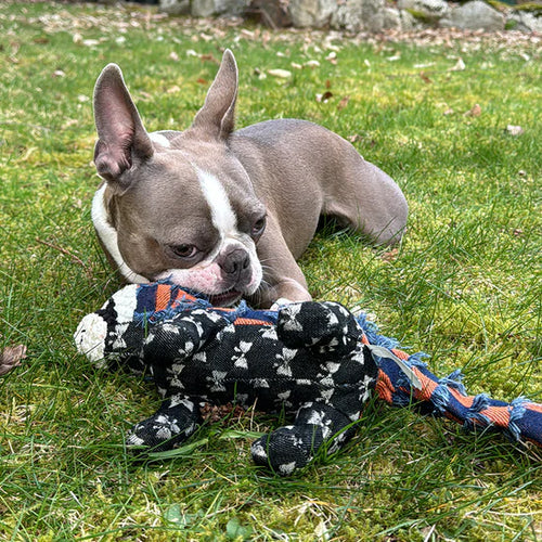 MightyPelt │ Indestructible Dog Toy