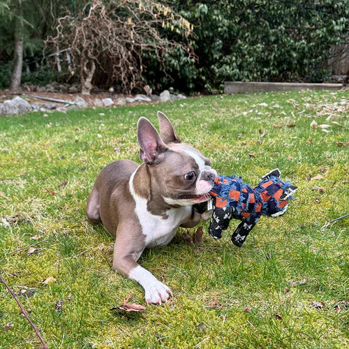 MightyPelt │ Indestructible Dog Toy