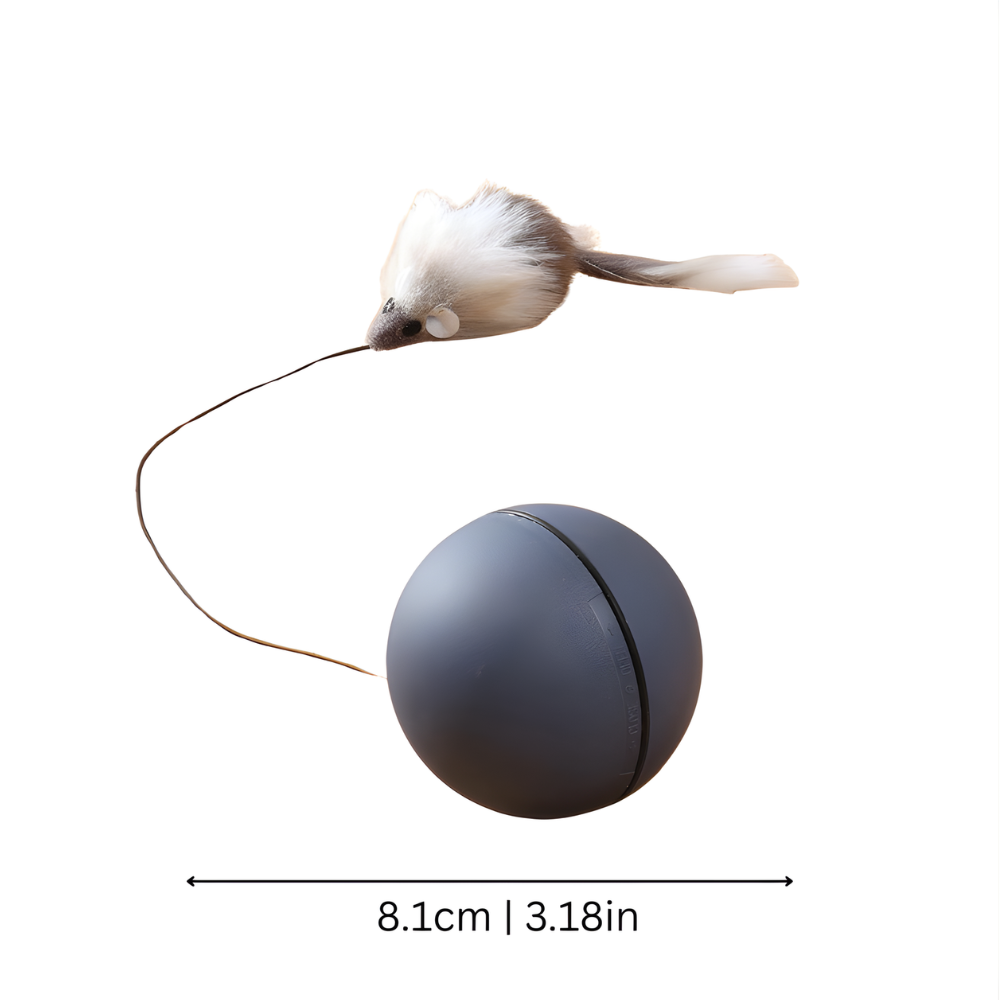PounceOrbit │ Smart Rolling Cat Teaser Ball