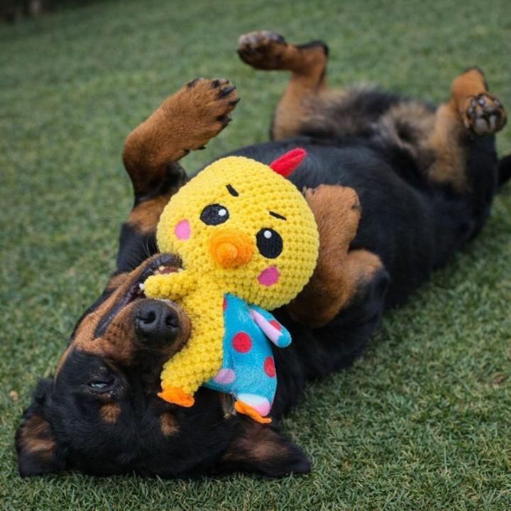 PlushForge │ Indestructible Squeaky Dog Toy