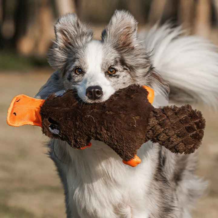 CritterClad │ Indestructible Plush Dog Toy