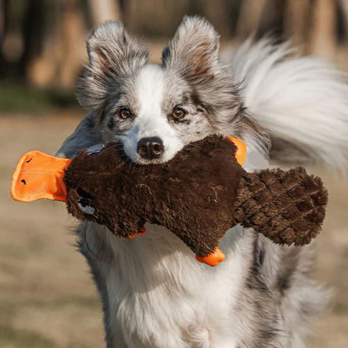 CritterClad │ Indestructible Plush Dog Toy