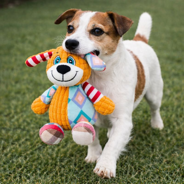 PlushForge │ Indestructible Squeaky Dog Toy