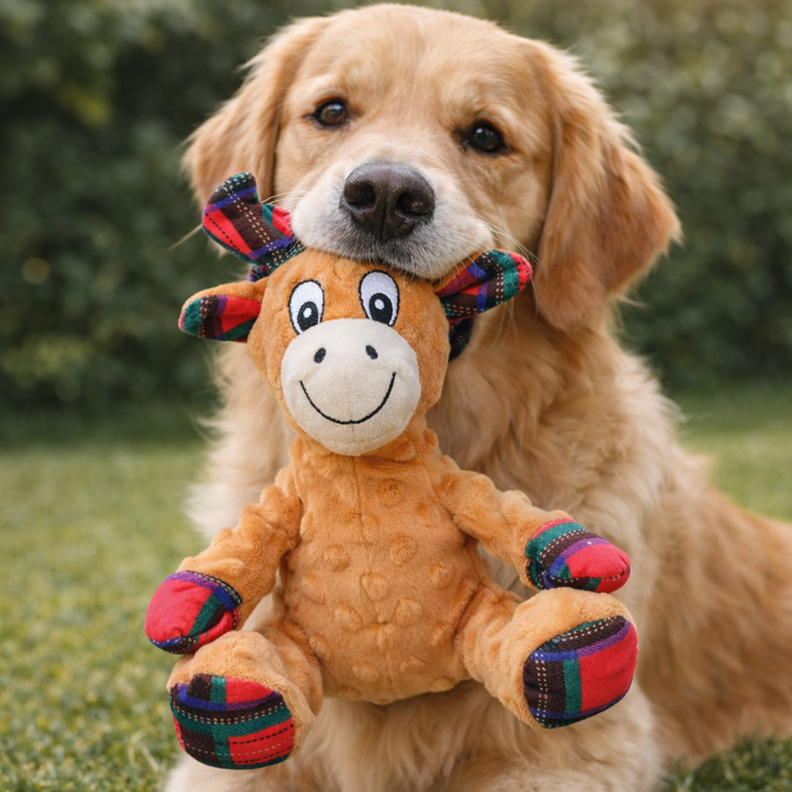 CritterClad │ Indestructible Plush Dog Toy