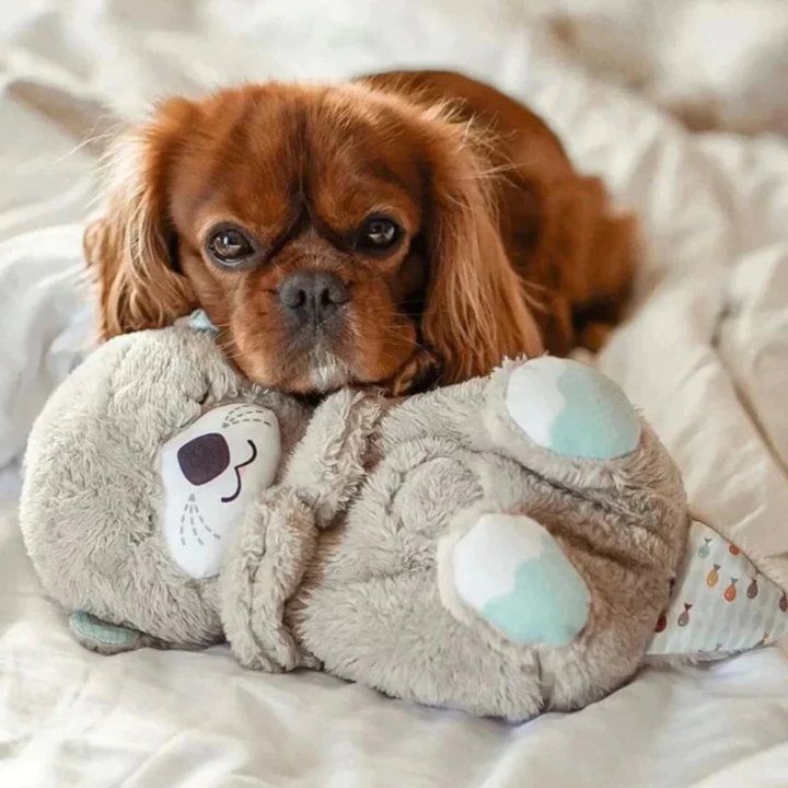 OtterNest │ Plush Comfort Dog Toy