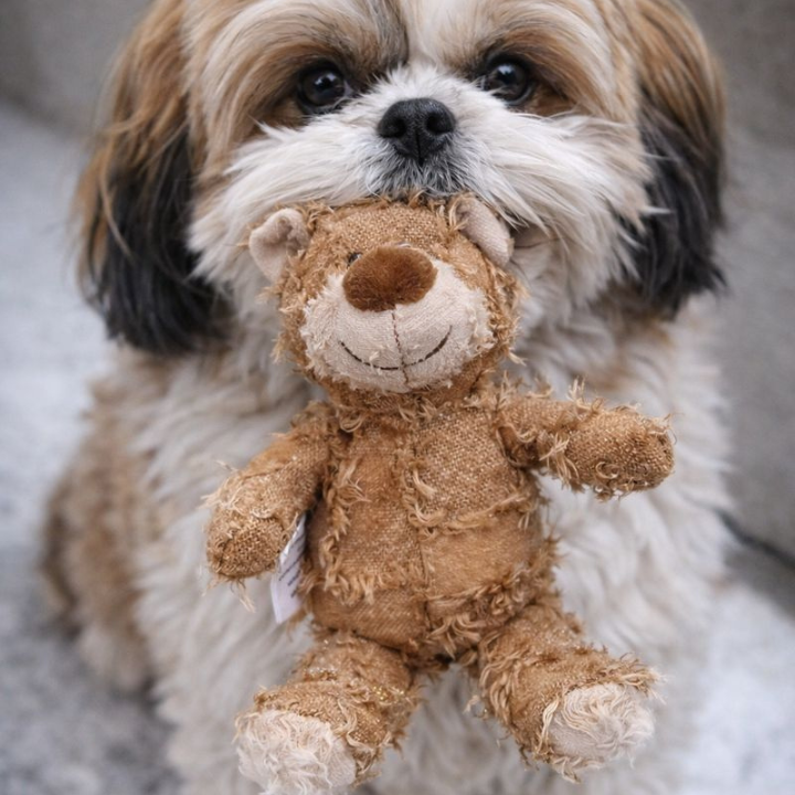 BearTitan │ Indestructible Plush Dog Toy