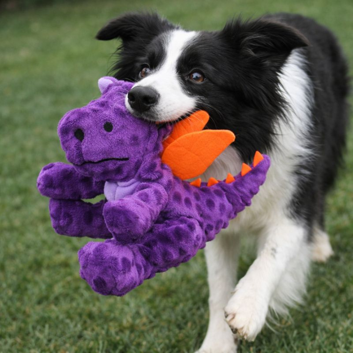 DinoClad │ Indestructible Plush Dino Dog Toy