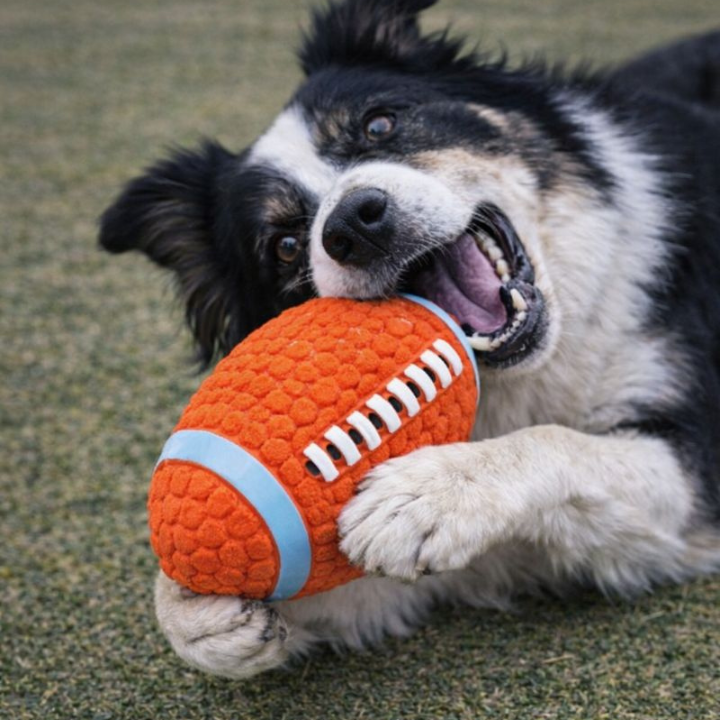 ChewForge │ Immortal Dog Chew Ball Toy