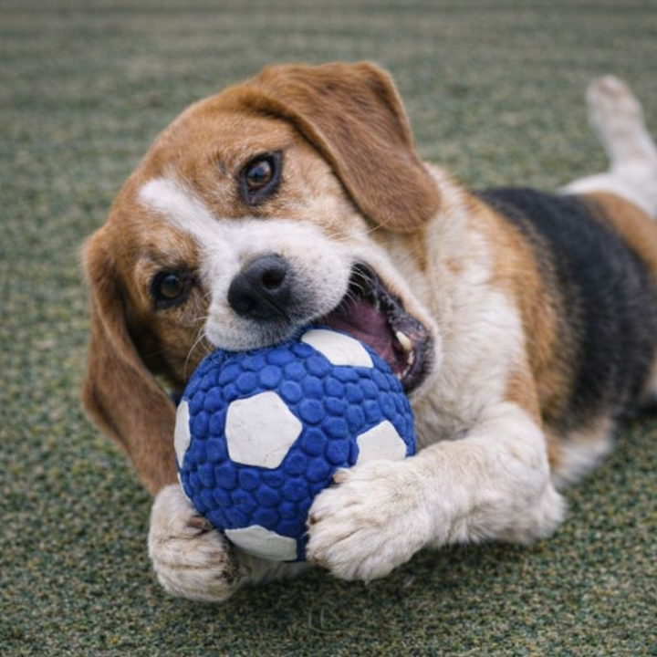 ChewForge │ Immortal Dog Chew Ball Toy