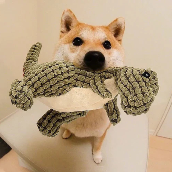 DinoClad │ Indestructible Plush Dino Dog Toy