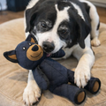 BearArmor │ Indestructible Plush Bear Dog Toy