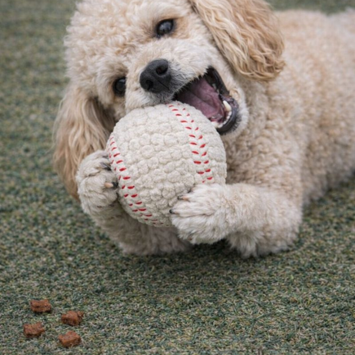 ChewForge │ Immortal Dog Chew Ball Toy