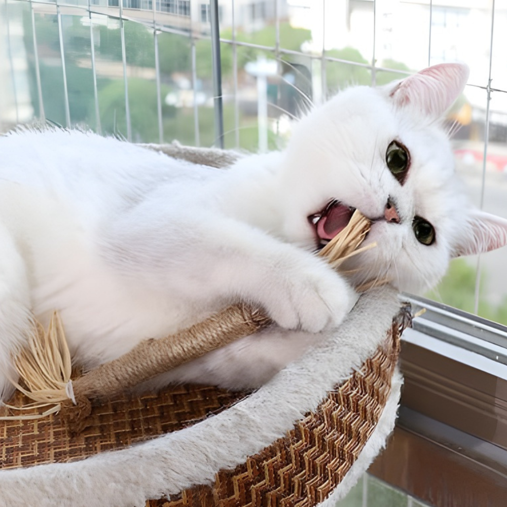 SilverSmile │ Natural Silvervine Dental Chew Sticks for Cats