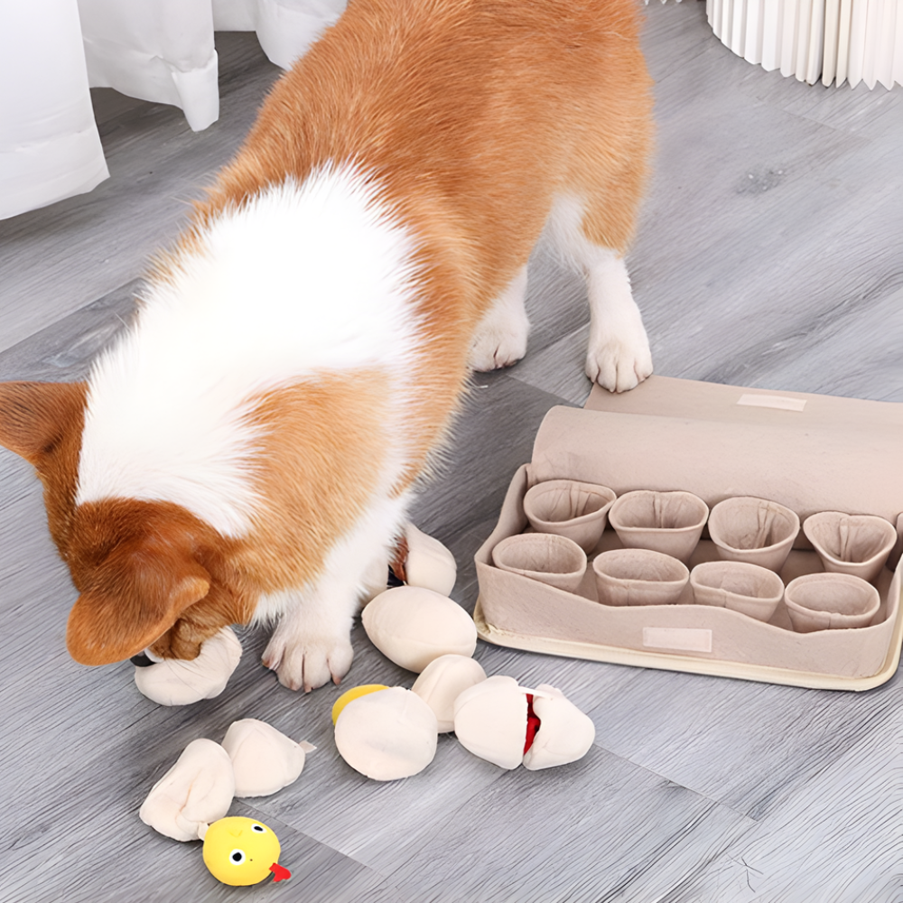 SniffNest │ Interactive Treat Hiding Egg Puzzle Toy for Dogs