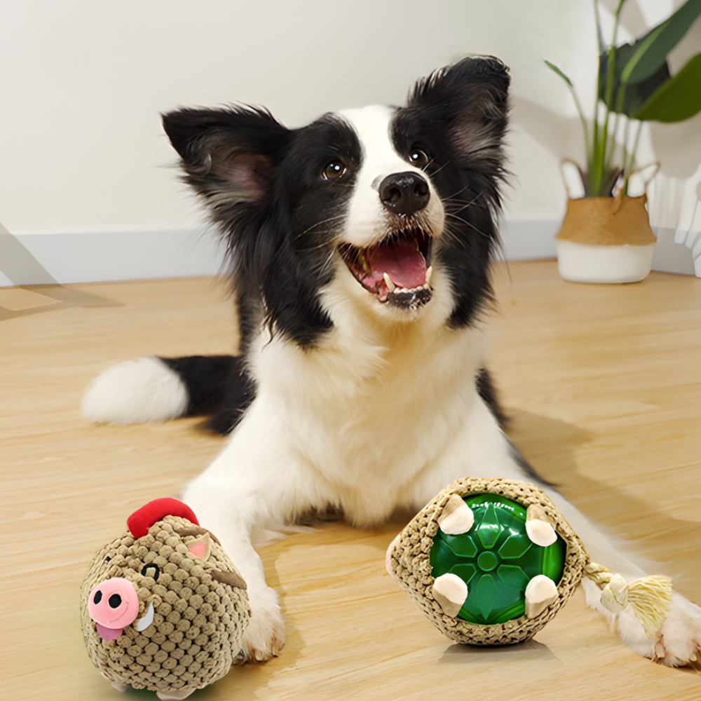 SnuffleBoar │ Plush Squeaky Rubber Dog Play Ball