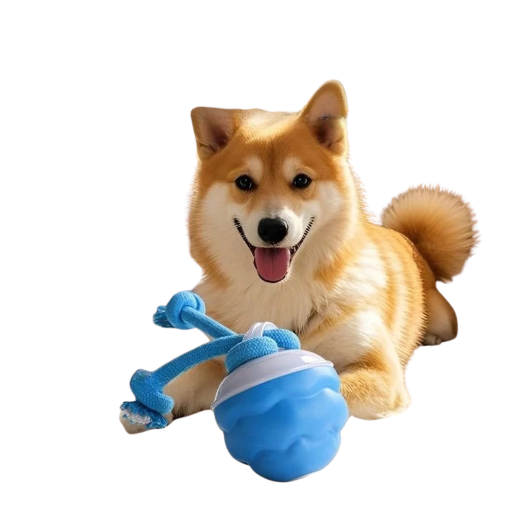 SpinTugMax | Interactive Dog Tug Toy