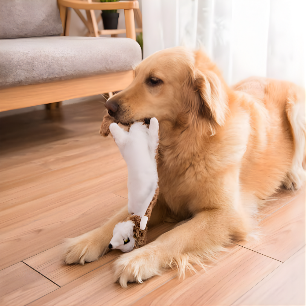 SqueakStretch │ Long Plush Dog Squeaker Toy Set