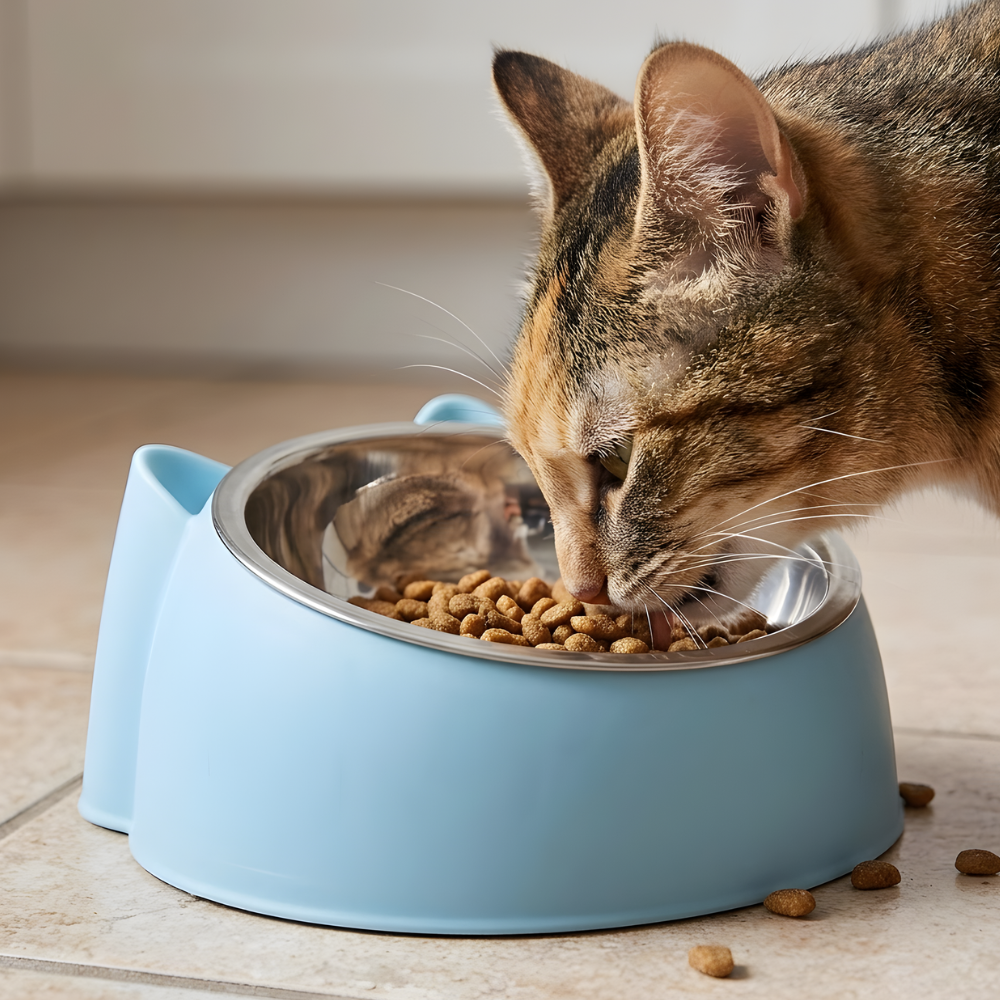TiltBowl │ Stainless Steel Cat Feeding Bowl