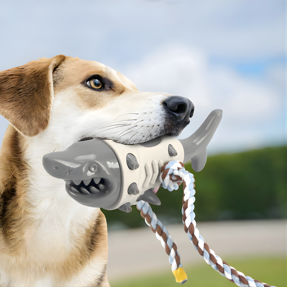 TugFin │ Shark Treat Dispensing Dental Chew Toy