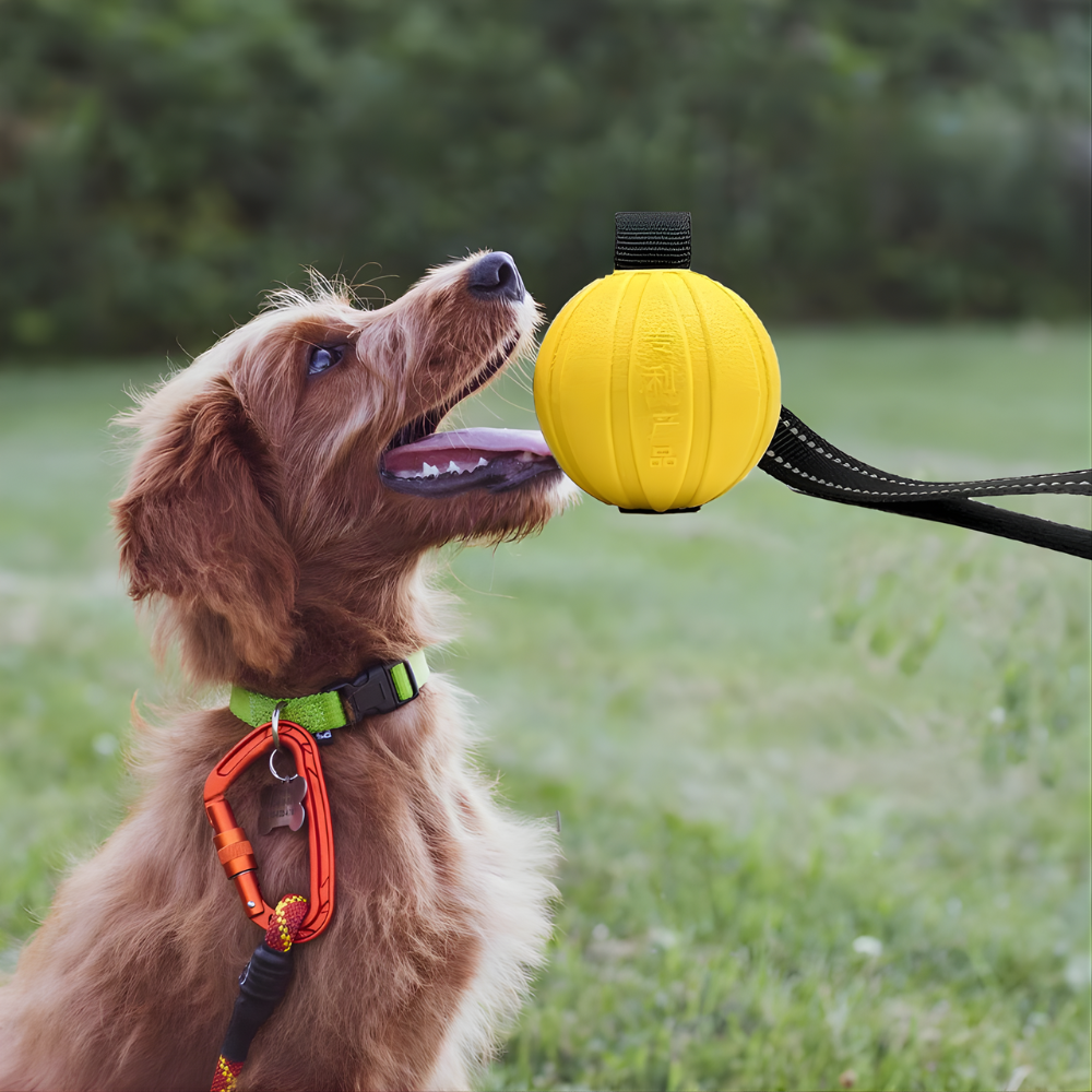 TugSphere │ Heavy Duty Ball on Rope Tug & Chase Toy