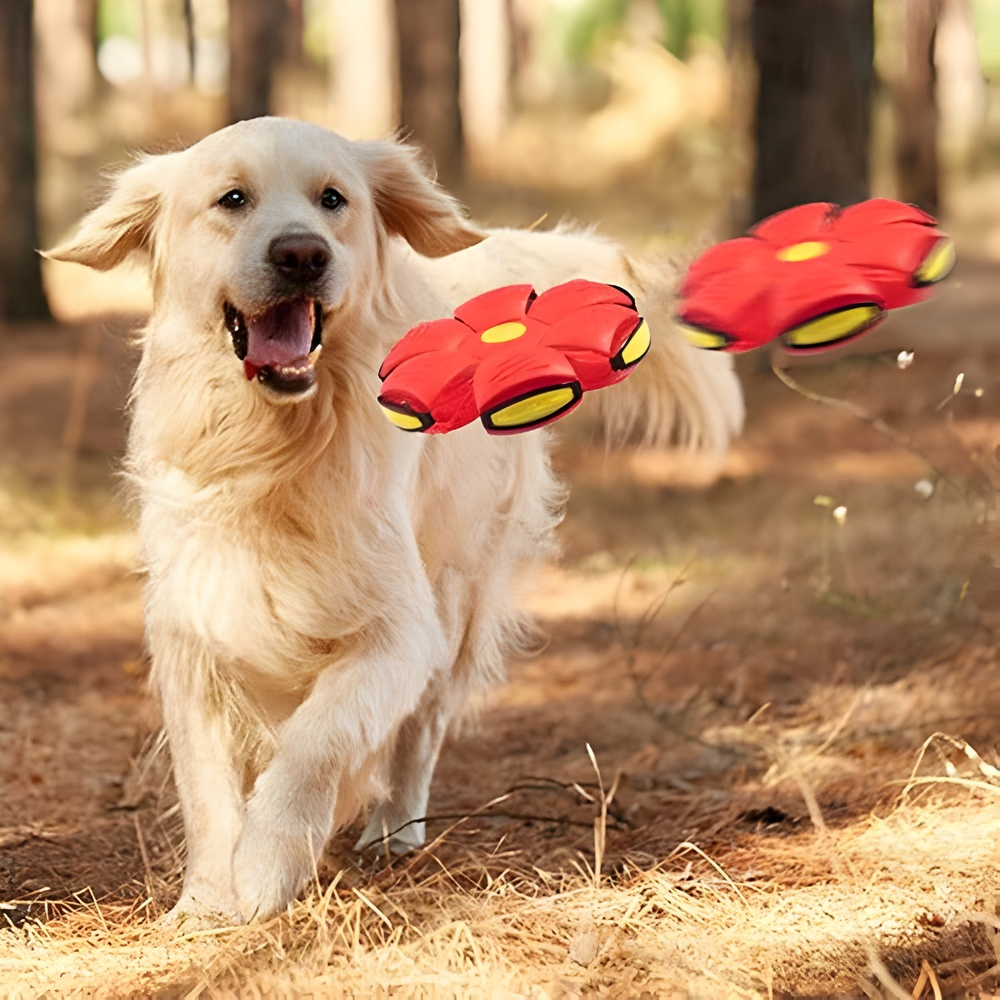 Lightweight | Flying Disc Dog Toy