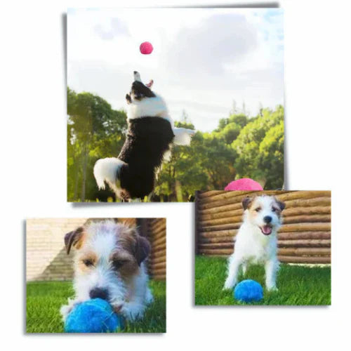 RolliPlay | Automatic Moving Dog Ball with 4 Color Ball Cover