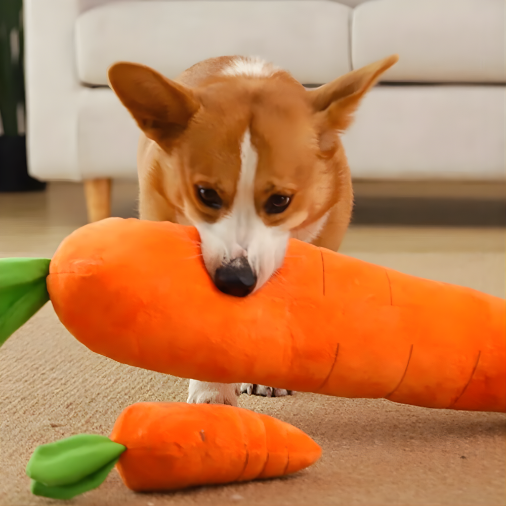 CarroPlay | Plush Dog Toy