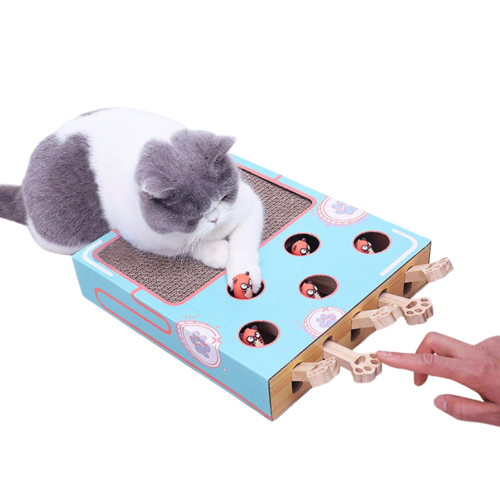 WhackNest | interactive cardboard scratcher cat toy