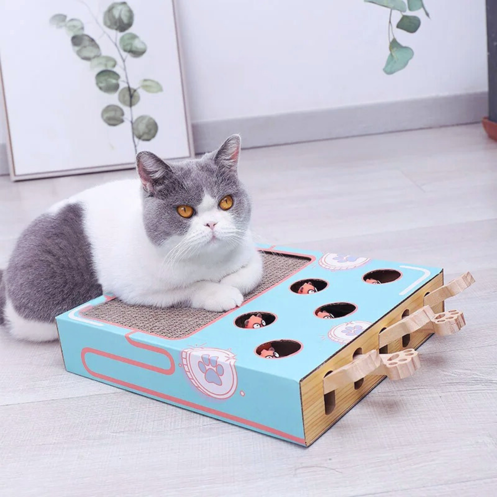 WhackNest | interactive cardboard scratcher cat toy