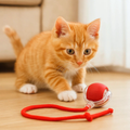 WhiskerDash | Interactive Cat Ball Toy